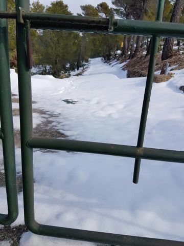 Nevada en Totana - 18 de enero de 2017 - 463